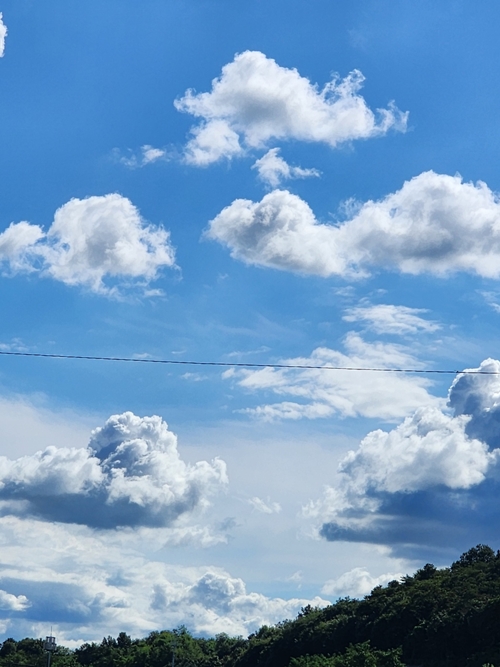 한국문화예술협회 PC 갤러리 7
