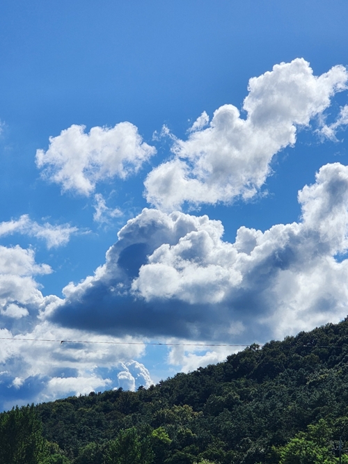 한국문화예술협회 PC 갤러리 5
