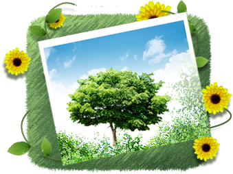 한국문화예술 대중가요협회